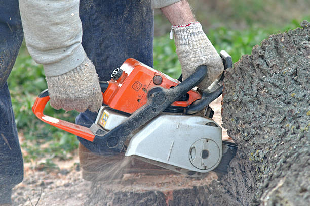 Mulching Services in Brushy Creek, TX